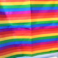 LGBTQ Pride Bandana