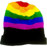 LGBTQ Pride Winter Rainbow Beanie Hat