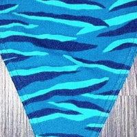 Victoria's Secret Zebra Panties